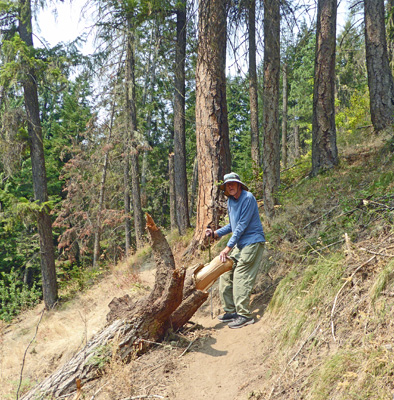 Walter Cooke Big Eddy Trail