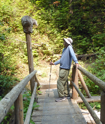 Walter Cooke Big Eddy Scout Bridge