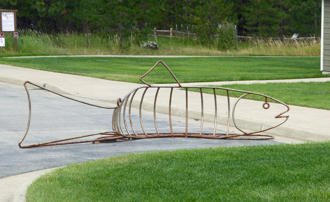 Fish bike stand