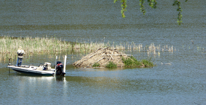 Muskrat lodge Heyburn State Park