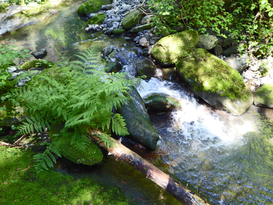 Cascading creek Dworshak SP