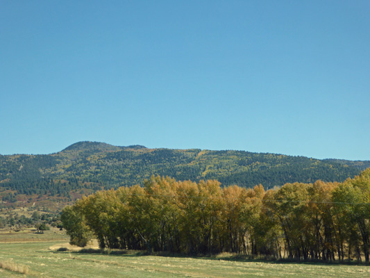 NM Hwy84