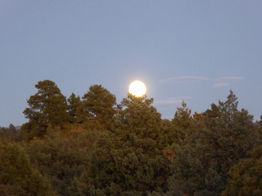 Hunters Full Moon