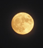 Hunters Full Moon