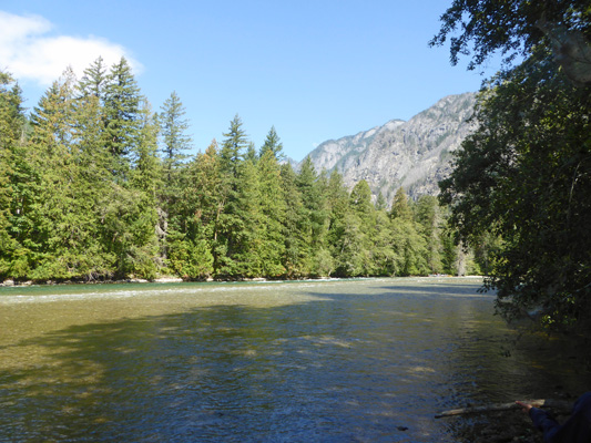 Skagit River near Newhalem