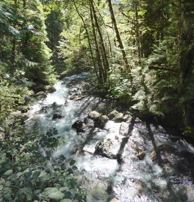 North Fork Cascade River