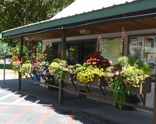 Skagit General Store flowers