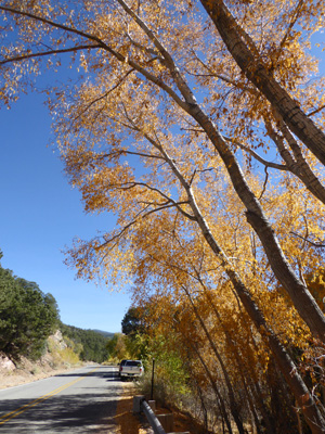 Orange fall color above Santa Fe