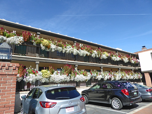 Flowers at Inn of the Governors Santa Fe