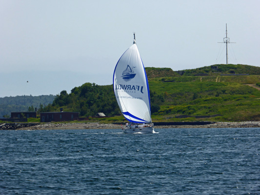 Sailboat Halifax Harbor