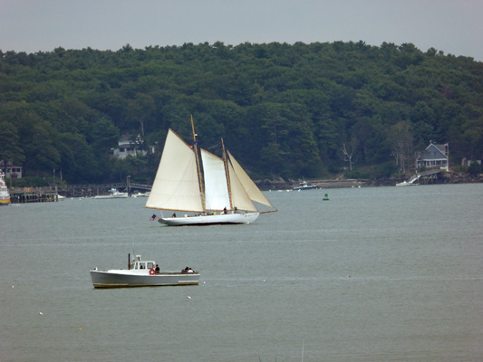 Sailing ship Portland Maine harbor