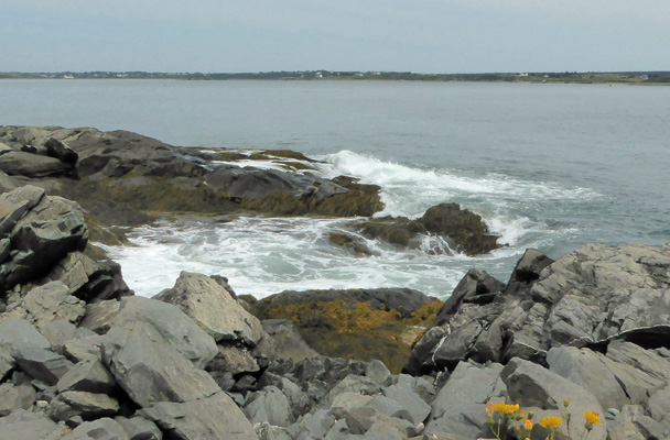 Surf on rocks Cape Forchu NS