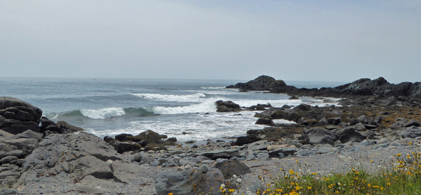 Surf on rocks Cape Forchu NS