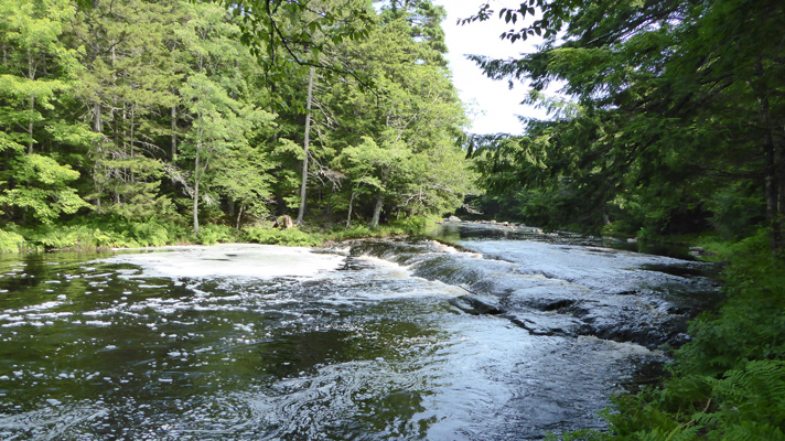 Mersey River Kejimkujik NP