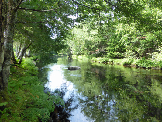 Mersey River Kejimkujik NP