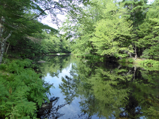 Mersey River Kejimkujik NP