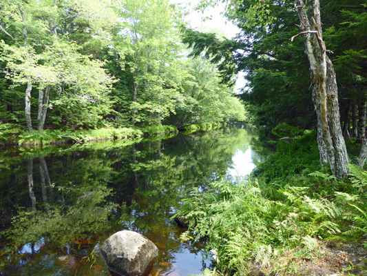 Mersey River Kejimkujik NP