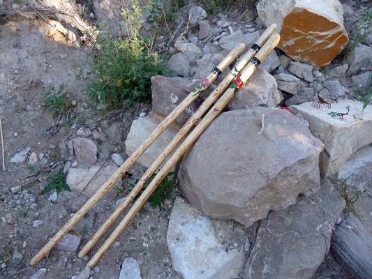 Walking sticks from Boquillas