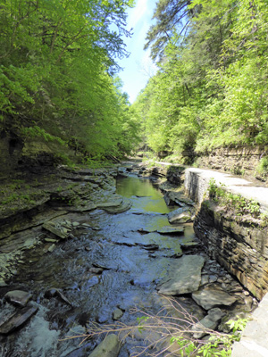 Watkins Glen