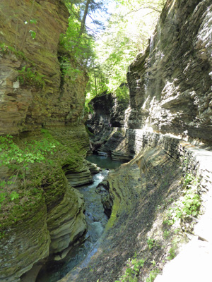 Watkins Glen