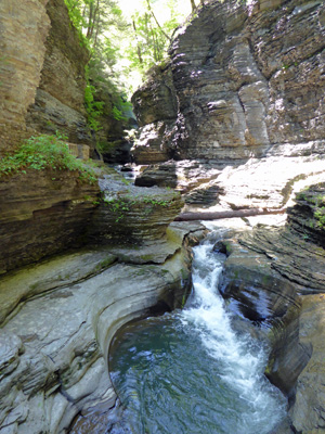 Watkins Glen