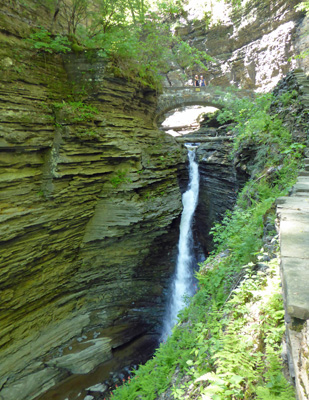 Central Cascade Watkins Glen