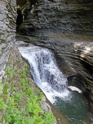 Watkins Glen waterfall