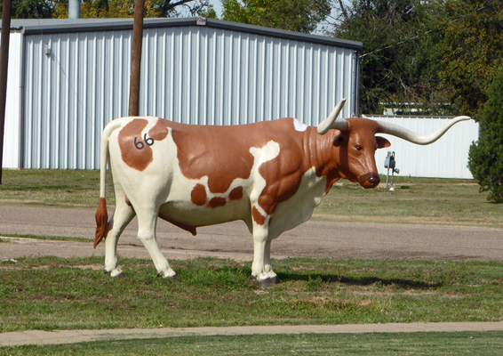 Longhorn with 66 brand
