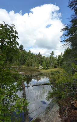 Peck Lake Algonquin PP