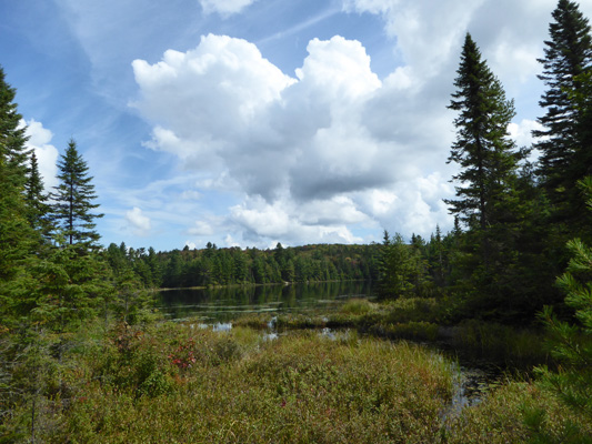 Peck Lake Algonquin PP