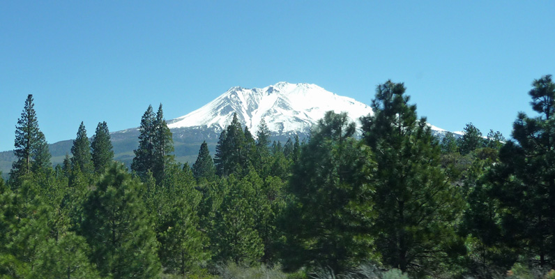 Mt Shasta from town of Mt Shasta