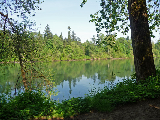 Willamette River Pavilion Trail Champoeg SP