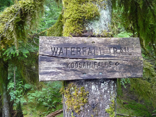 Koosah Falls sign