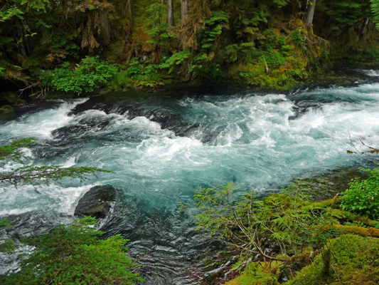 McKenzie River cascades