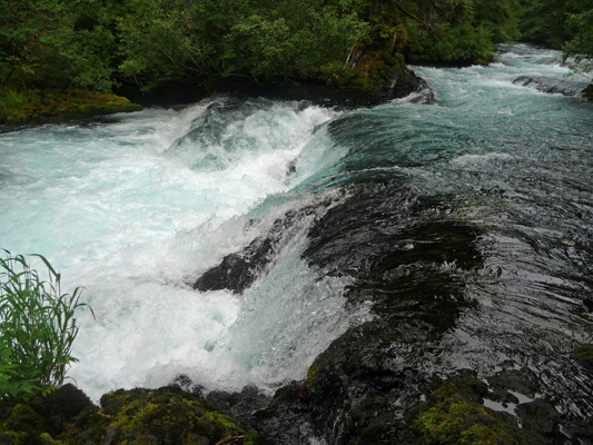 Un-named falls on McKenzie River Trail