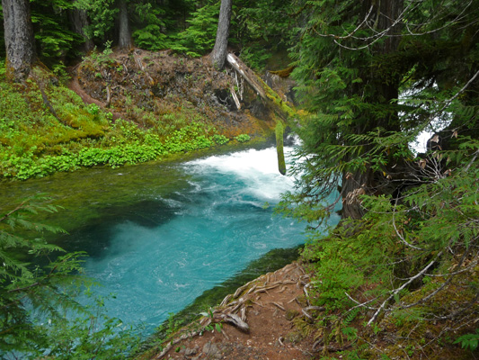 Pool on McKenzie River