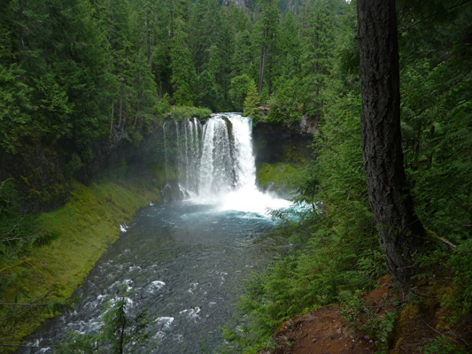 Koosah Falls OR