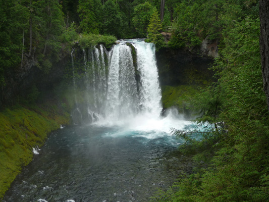 Koosah Falls OR