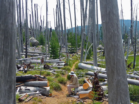 Walter Cooke resting in burn along Waldo Lake Trail