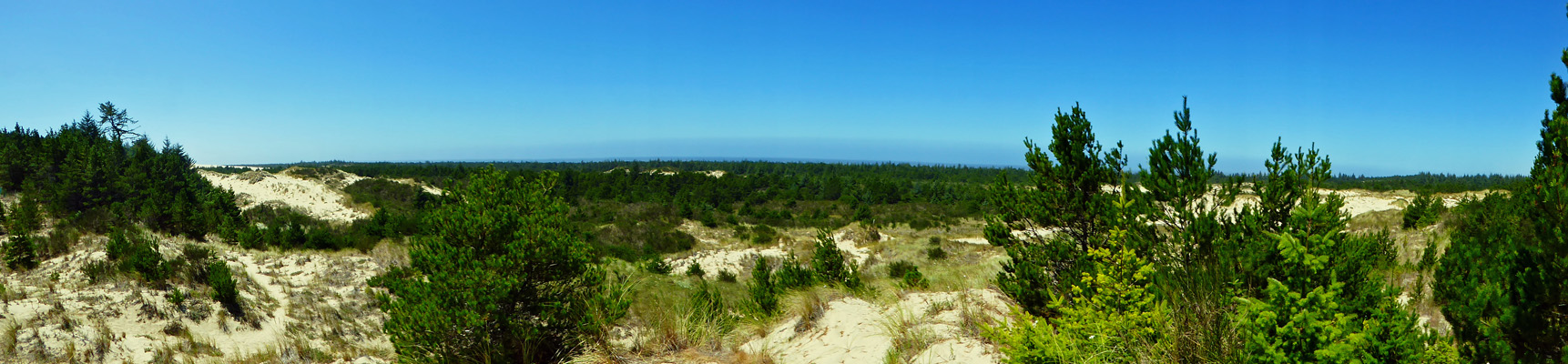 Taylor Dunes Florence OR