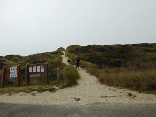 South Jetty Dune Florence OR