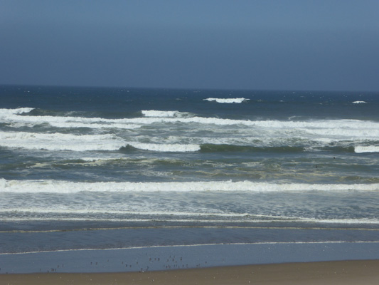 Taylor Dunes Beach OR