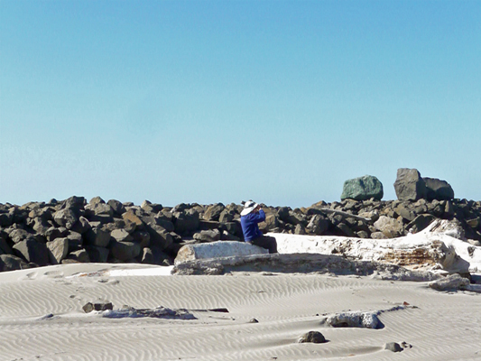 Walter Cooke South Jetty Fort Stevens SP