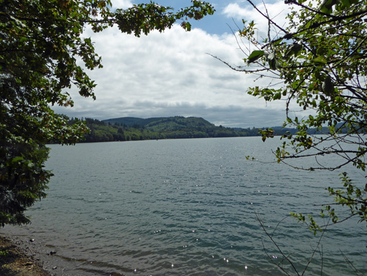 Mayfield Lake