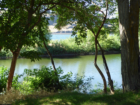 Campsite view Peach Beach RV Maryhill WA