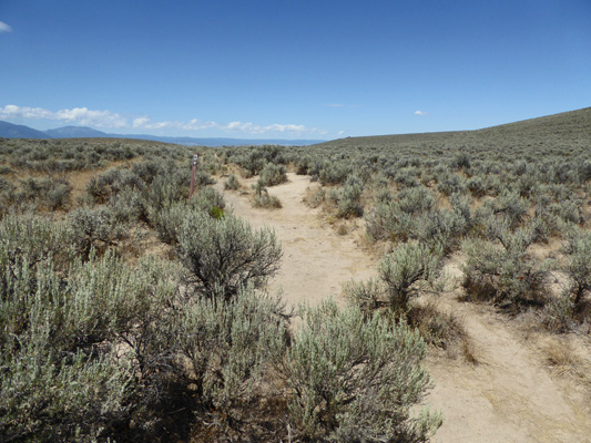 Oregon Trail ruts Baker City OR