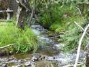 Creek Crossing Conrad Meadows