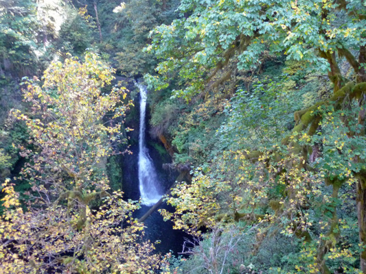 Butte Creek Falls OR