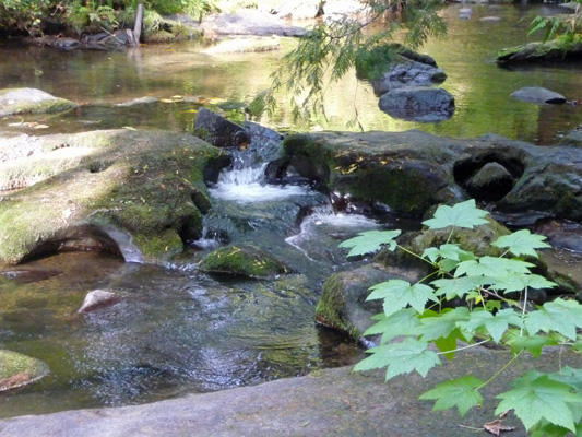 pools at top of Majestic Falls at McDowell Creek Falls Park OR