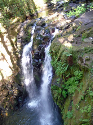 Majestic Falls from the top at McDowell Creek Falls Park OR